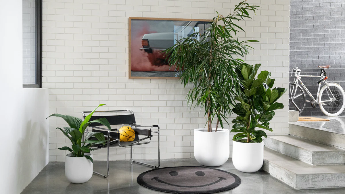 Perth’s Premier Garden Destination